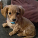 Winnie Profile Picture