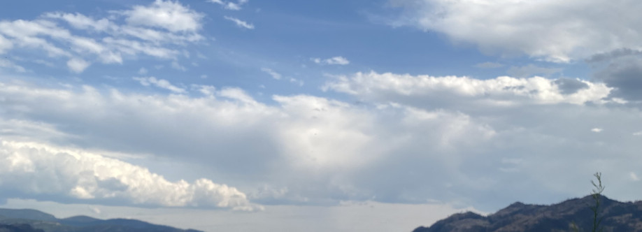 Joyful Jude Cover Image